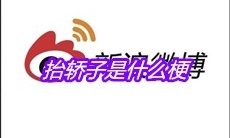 抬轿子是什么梗