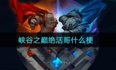 峡谷之巅绝活哥什么梗