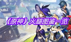 《原神》火腿图鉴一览