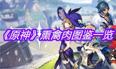《原神》熏禽肉图鉴一览