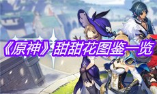 《原神》甜甜花图鉴一览