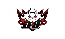 《LOL》JDG战队介绍