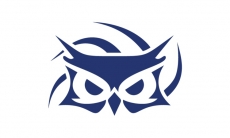 《LOL》SUP战队介绍