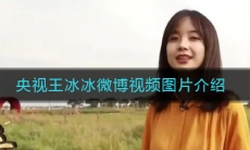 央视王冰冰微博视频图片介绍