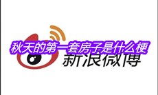 秋天的第一套房子是什么梗