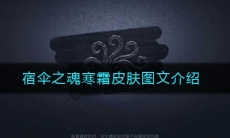 《第五人格》宿伞之魂寒霜皮肤图文介绍