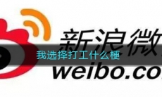 我选择打工什么梗