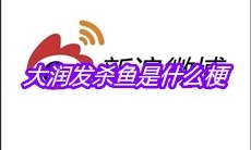 大润发杀鱼是什么梗