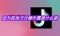 抖音因为孤独才沙雕外露是什么歌