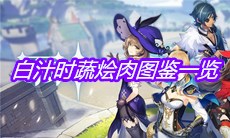《原神》白汁时蔬烩肉图鉴一览