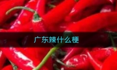 广东辣什么梗