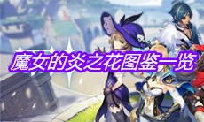 《原神》魔女的炎之花图鉴一览