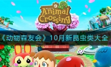 《动物森友会》10月新昆虫大全