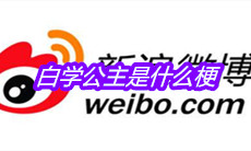 白学公主是什么梗