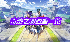 《原神》奇迹之羽图鉴一览