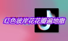 抖音红色彼岸花花瓣遍地撒是什么歌