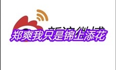 郑爽我只是锦上添花是什么梗