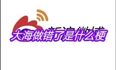 大海做错了是什么梗