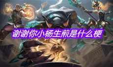 谢谢你小杨生煎是什么梗