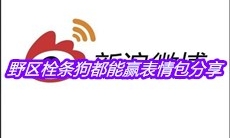 野区栓条狗都能赢表情包分享