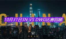 《LOL》10月31日SN VS DWG比赛回顾