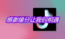 抖音感谢缘分让我们相遇我一定会好好的爱你是什么歌