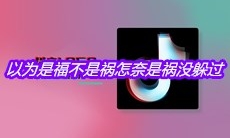 抖音以为是福不是祸怎奈是祸没躲过是什么歌