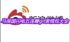 马保国闪电五连鞭gif表情包大全