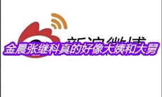 金晨张继科真的好像大姨和大舅是什么梗