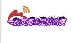 一夜变闰土是什么梗