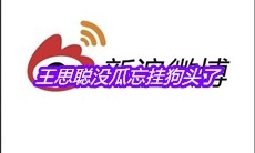 王思聪没瓜忘挂狗头了是什么梗