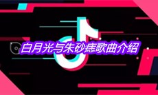 抖音白月光与朱砂痣歌曲介绍