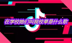 抖音在学校她们叫我校草是什么歌