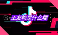 王友梅是什么梗