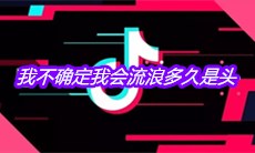 抖音如果世界没有你我不确定我会流浪多久是头是什么歌