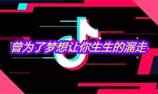 抖音曾为了梦想让你生生的溜走是什么歌