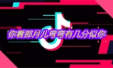 抖音你看那月儿弯弯有几分似你是什么歌