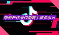 抖音想要在你身边牵着手就是永远是什么歌