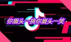 抖音你眉头一挑你眉头一笑是什么歌