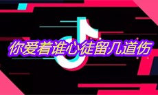 抖音你爱着谁心徒留几道伤是什么歌