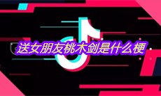 抖音送女朋友桃木剑是什么梗