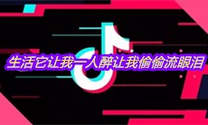 抖音生活它让我一人醉让我偷偷流眼泪是什么歌