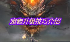 《妄想山海》宠物升级技巧介绍