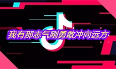 抖音我有那志气刚勇敢冲向远方是什么歌
