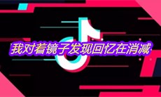 抖音我对着镜子发现回忆在消减是什么歌