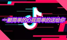 抖音一颗简单的心我简单的送给你是什么歌