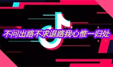 抖音不问出路不求退路我心惟一归处是什么歌