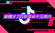 抖音眼睛没了色彩耳朵不见黑白是什么歌