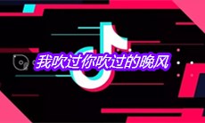 抖音我吹过你吹过的晚风是什么歌