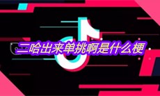 抖音二哈出来单挑啊是什么梗 